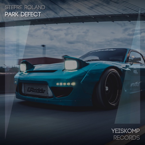 Park Defect